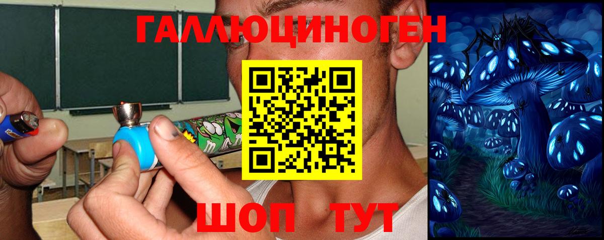 Псилоцибиновые грибы Psilocybe  Вход с VPN  Галлюциногенные грибы Psilocybine cubensis  Трёхгорный 