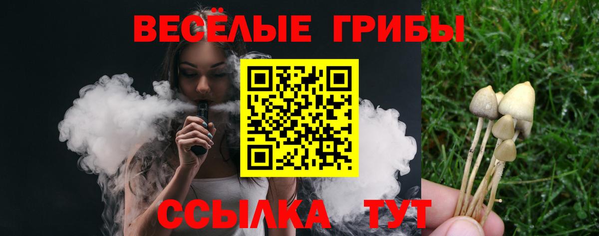 Галлюциногенные грибы MAGIC MUSHROOMS Трёхгорный